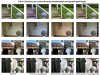 GreyWorld_ColorConstancyBeyondBags_CVPR20085.jpg