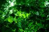 _DSC3418.jpg