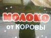 фото молоко от коровы.JPG
