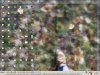 desktop-1.jpg