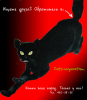 cat[1].png