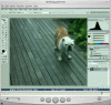 After_Vanishing_point.gif