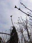 IMG_1872.jpg