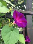 IMG_2109.jpg