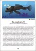 Moderatorfish.jpg