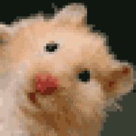 Bard