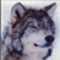 Black_Wolf™