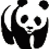 Xiongmao