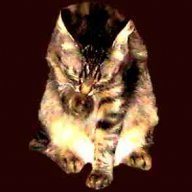 catpaw