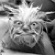 Mangust