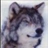 Black_Wolf™