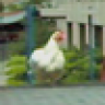 IlyaSolo