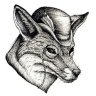 FortunS