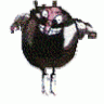 kapbofoc