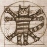 Austerus