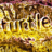 turtlegraphic