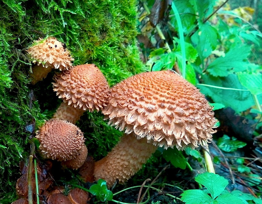 p71014-110336-jpg.98929