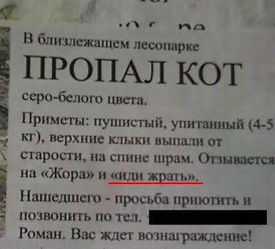 propal-kot.jpg