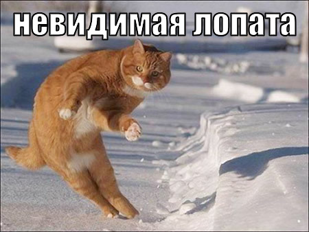 hfkcbi2ppc7bqcrd5c14hdkjn6.jpg