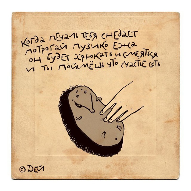 8539628.jpg